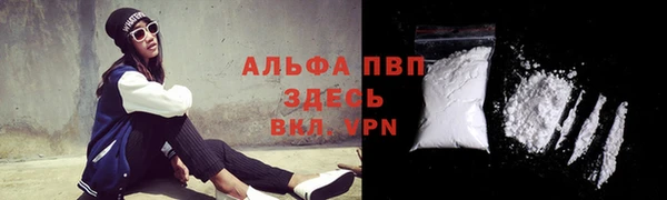 мет Алексин
